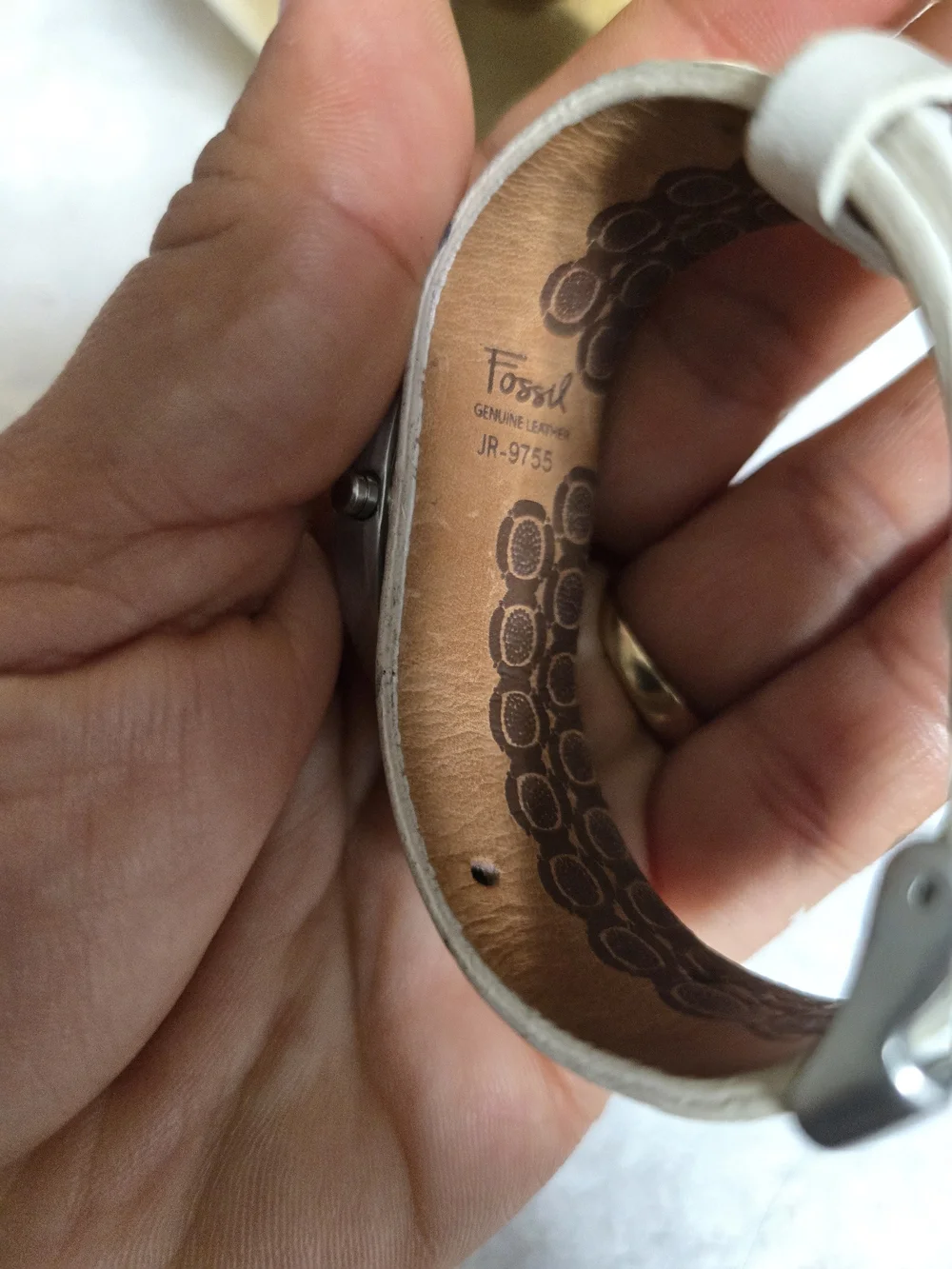 Fossil hi there—as
